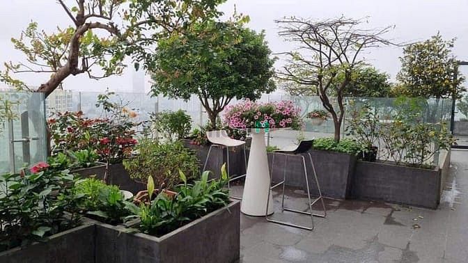 Căn hộ Duplex Penthouse Golden Palace 670m² giá 45 tỷ - Cơ hội hiếm có!