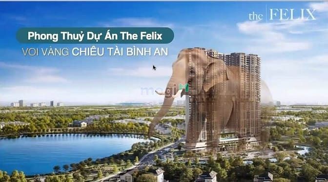 Căn hộ 45m² giá 1.5 tỷ tại Bình Hòa - Giải pháp mua nhà 1% mỗi tháng!