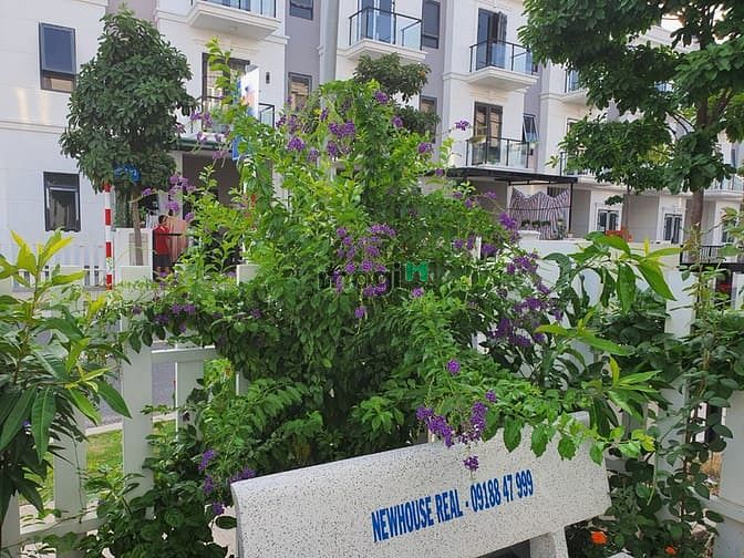 Bán căn villa đẹp Simcity 185m² giá chỉ 5.3 tỷ - An cư lý tưởng!