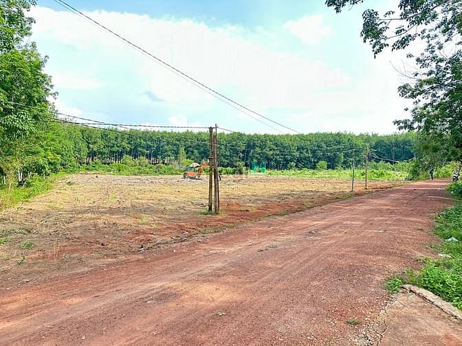 Bán đất tại Bình Long, Đồng Phú 1000m² giá 290 triệu - Cơ hội đầu tư hấp dẫn!
