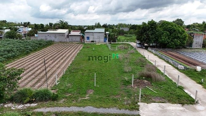 Đất thổ cư 80m² giá 500 triệu tại Gò Dầu, Tây Ninh - Cơ hội đầu tư hấp dẫn!