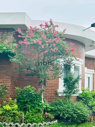 Biệt thự biển 464m² giá 9 tỷ tại Xuân Thành - Cơ hội hiếm có!