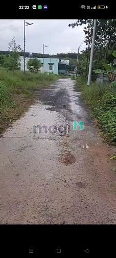 Đất Tân Phước 1000m² giá 3.6 tỷ - Cơ hội hiếm có cho nhà vườn!