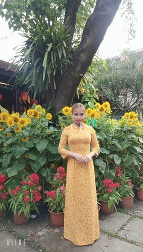 Đất Nông Nghiệp 500m² Trảng Bom Đồng Nai Giá 900 Triệu - Cơ Hội Hiếm Có!