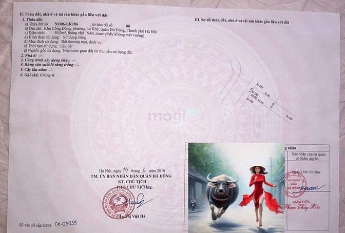 Đất nền 50m² tại Cổng Đồng La Khê, Hà Đông - Cơ hội hiếm có!