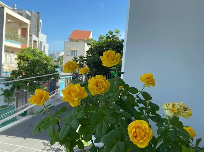 Nhà nguyên căn 315m² tại KDC Hồng Long - Sẵn sàng vào ở!