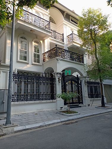 Biệt thự sân vườn 250m² tại Cầu Giấy chỉ 50 triệu - Cơ hội hiếm có!