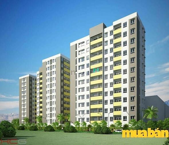 Chung cư Hoàng Quy