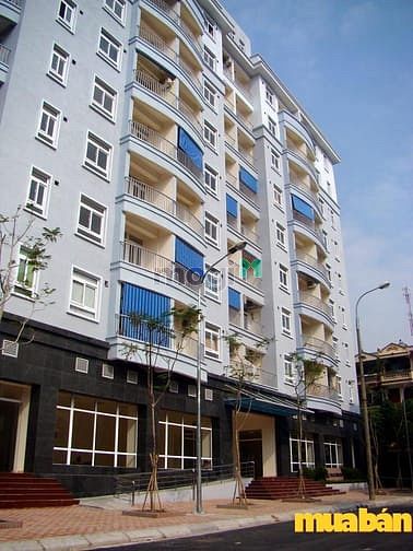 Hoàng Sâm - 151 Hoàng Quốc Việt