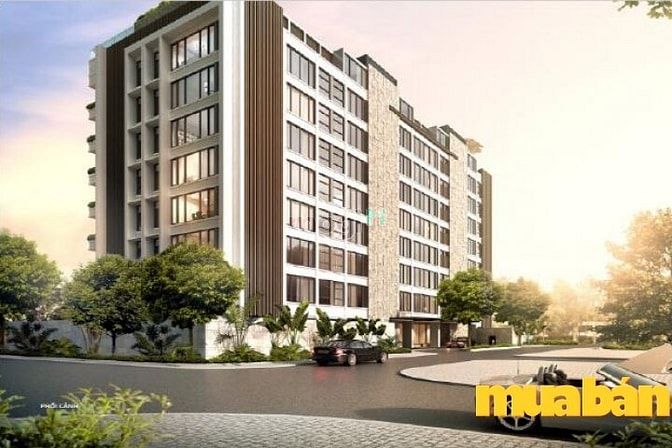 Căn hộ The Albany