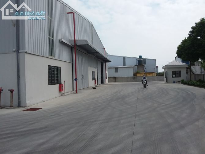 Cho thuê kho xưởng mới xây 10.000m² tại Thuận Thành, Bắc Ninh - Giá chỉ 45 triệu/tháng!