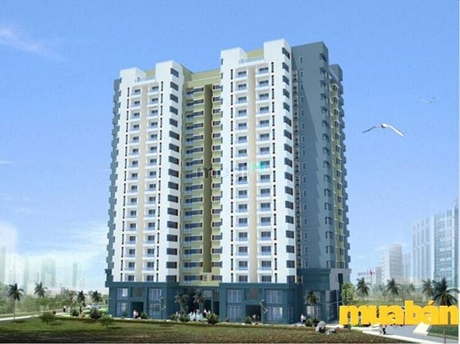 Căn Hộ Quang Thái