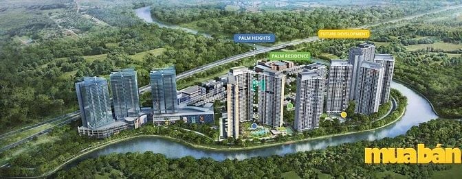 Khu Dân Cư Nam Rạch Chiếc