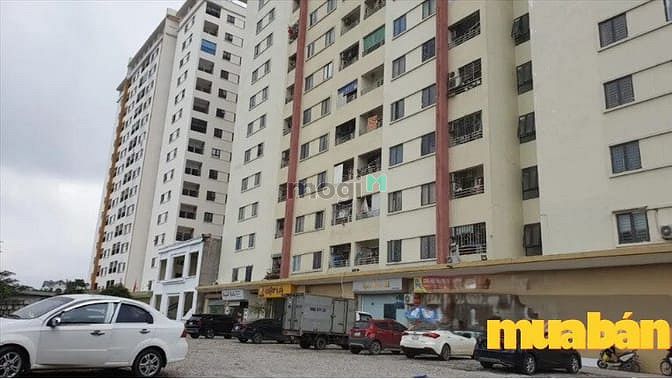 Dự án Môi Trường Xanh