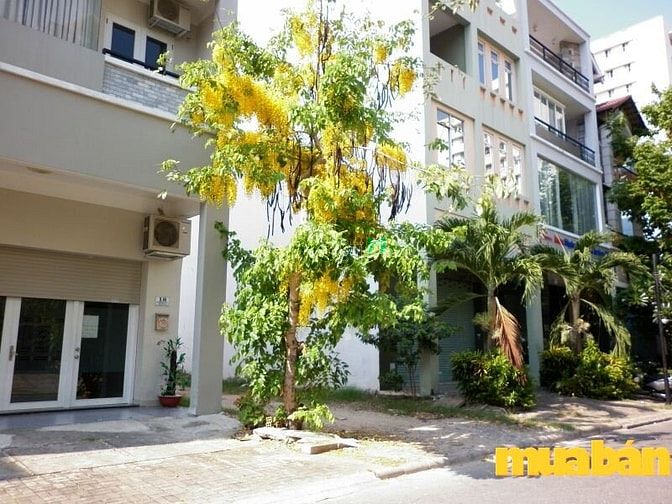 Khu dân cư Savimex