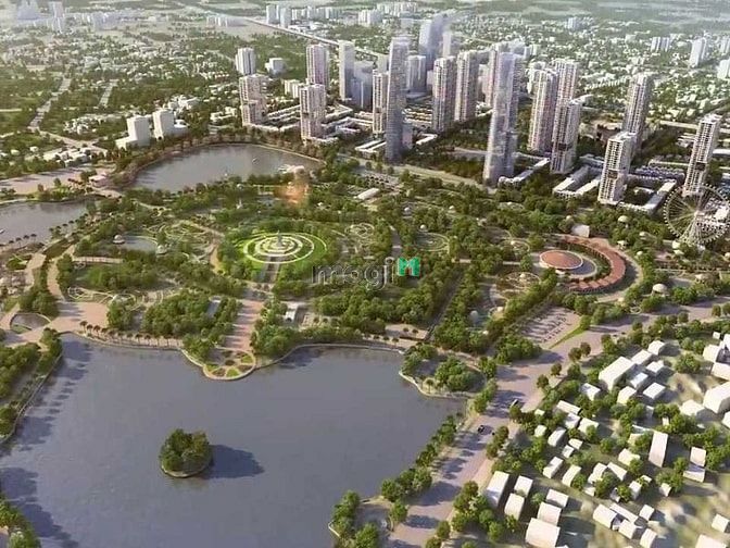 The Manor Central Park