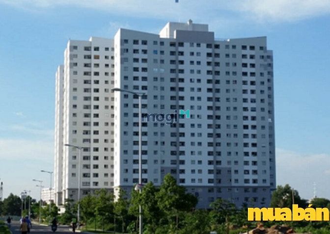 Chung Cư Chu Văn An