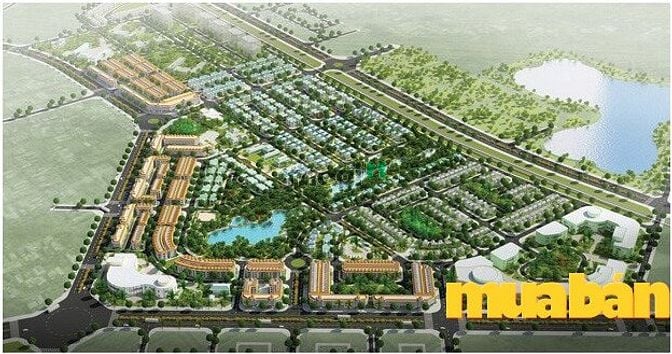 Xuân Phương Tasco