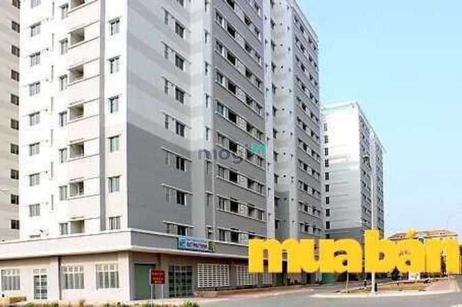 Chung Cư Quang Vinh