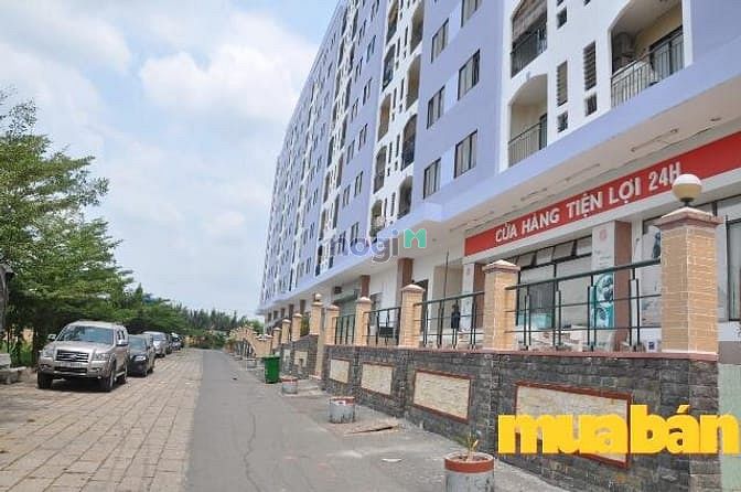 Chung Cư Cao Cấp Cửu Long