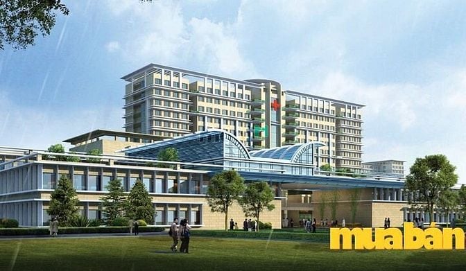 The Season Lái Thiêu