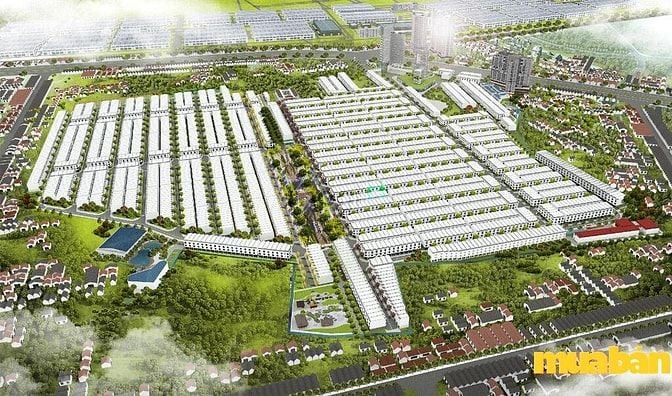 Phương Trường An 6