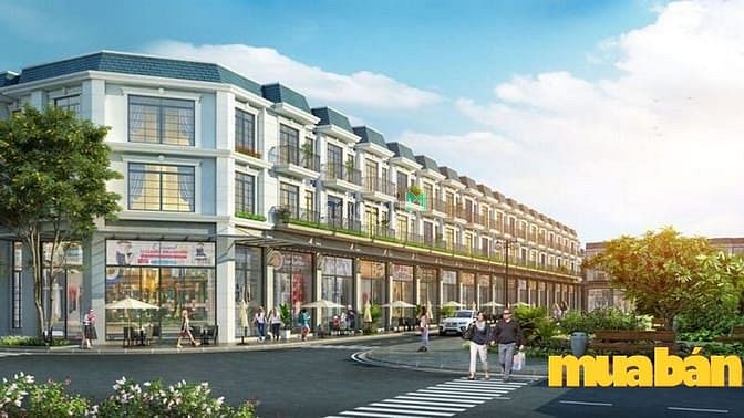 TNR Stars Bỉm Sơn