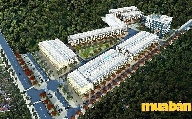 Đông Dương Green Mạo Khê