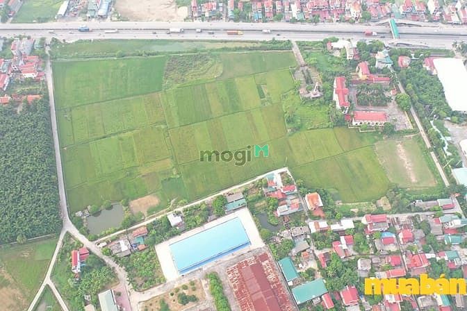 Khu dân cư thương mại Cẩm Phúc