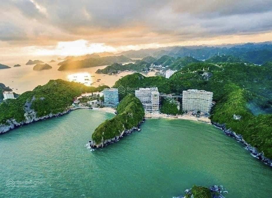 Căn hộ Flamingo Cát Bà 40m² giá 1.85 tỷ - Sẵn sổ đỏ và lợi nhuận ngay!