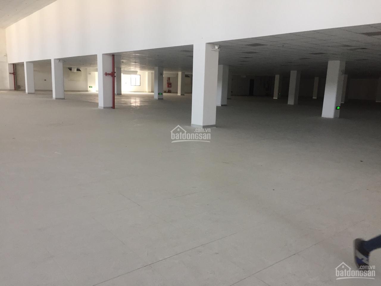 Cho thuê xưởng tiêu chuẩn phòng sạch 2000m² - 10000m² KCN VSIP Thủy Nguyên