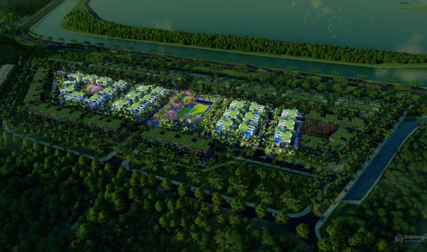 Flamingo Golden Hill