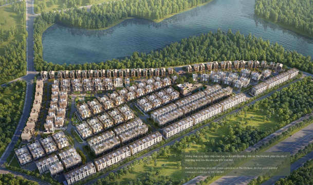 The Orchard Sycamore