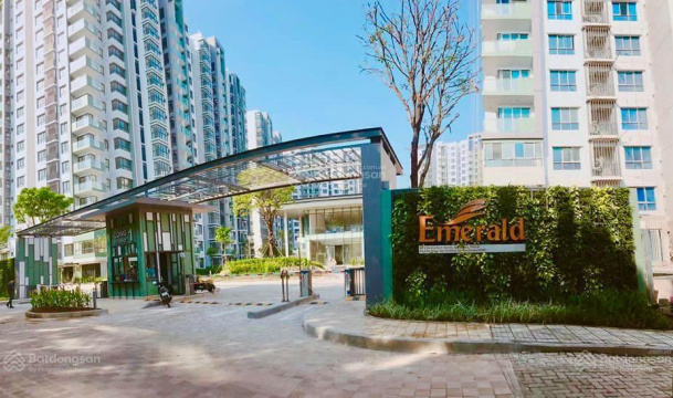 Emerald - Celadon City