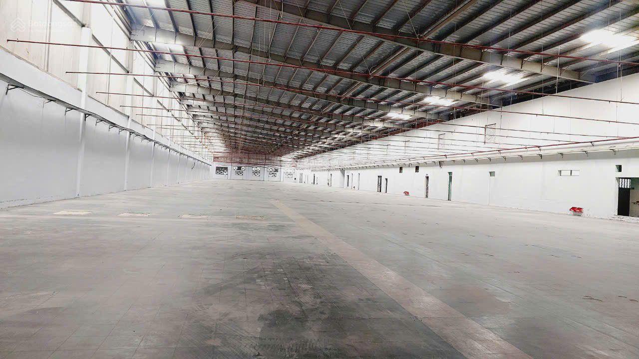 Cho thuê xưởng 9000m² KCN Mỹ Phước, Bến Cát Bình Dương - Pháp lý chuẩn, giá tốt!