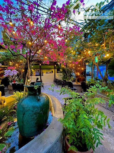 Biệt thự sân vườn Phạm Ngọc Thạch, Quận 3 - 10x25m, giá 79 triệu