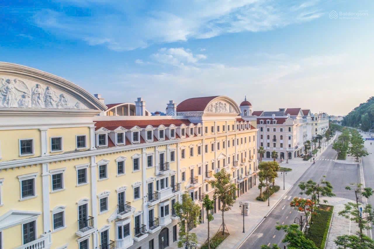 Shophouse 120m² Đường Hạ Long giá 10.9 tỷ - Cơ hội đầu tư sinh lời ngay!