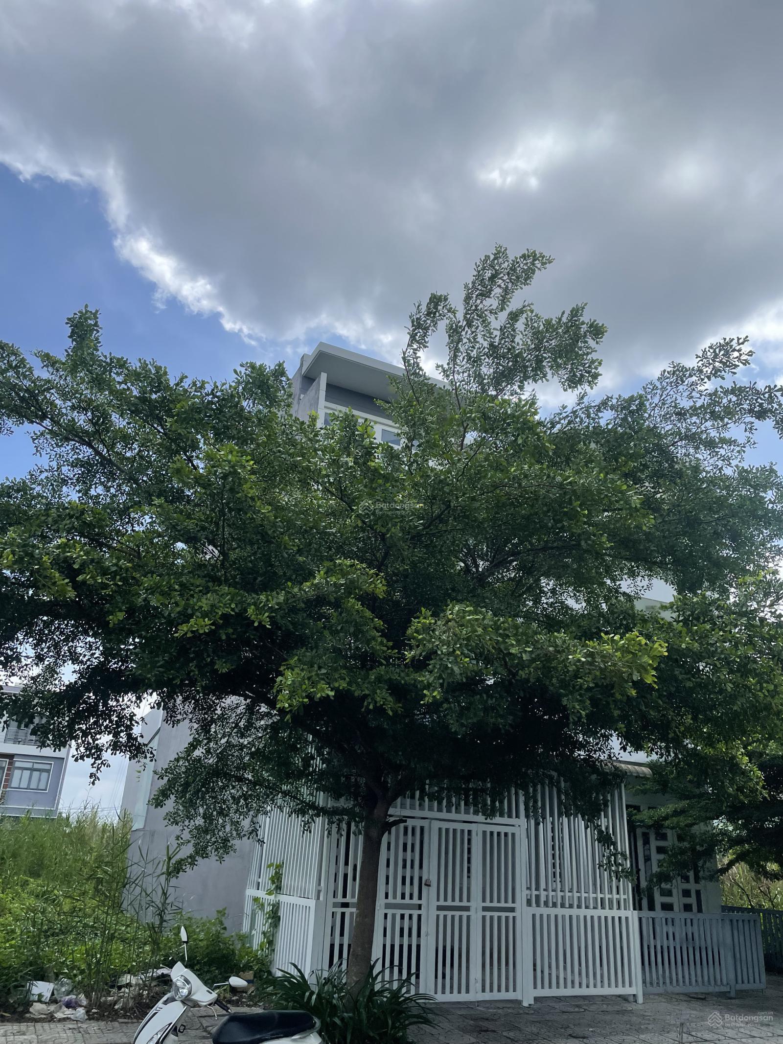 Townhouse 4PN 75m² Phúc An City giá 2,6 tỷ - Cơ hội đầu tư hấp dẫn!