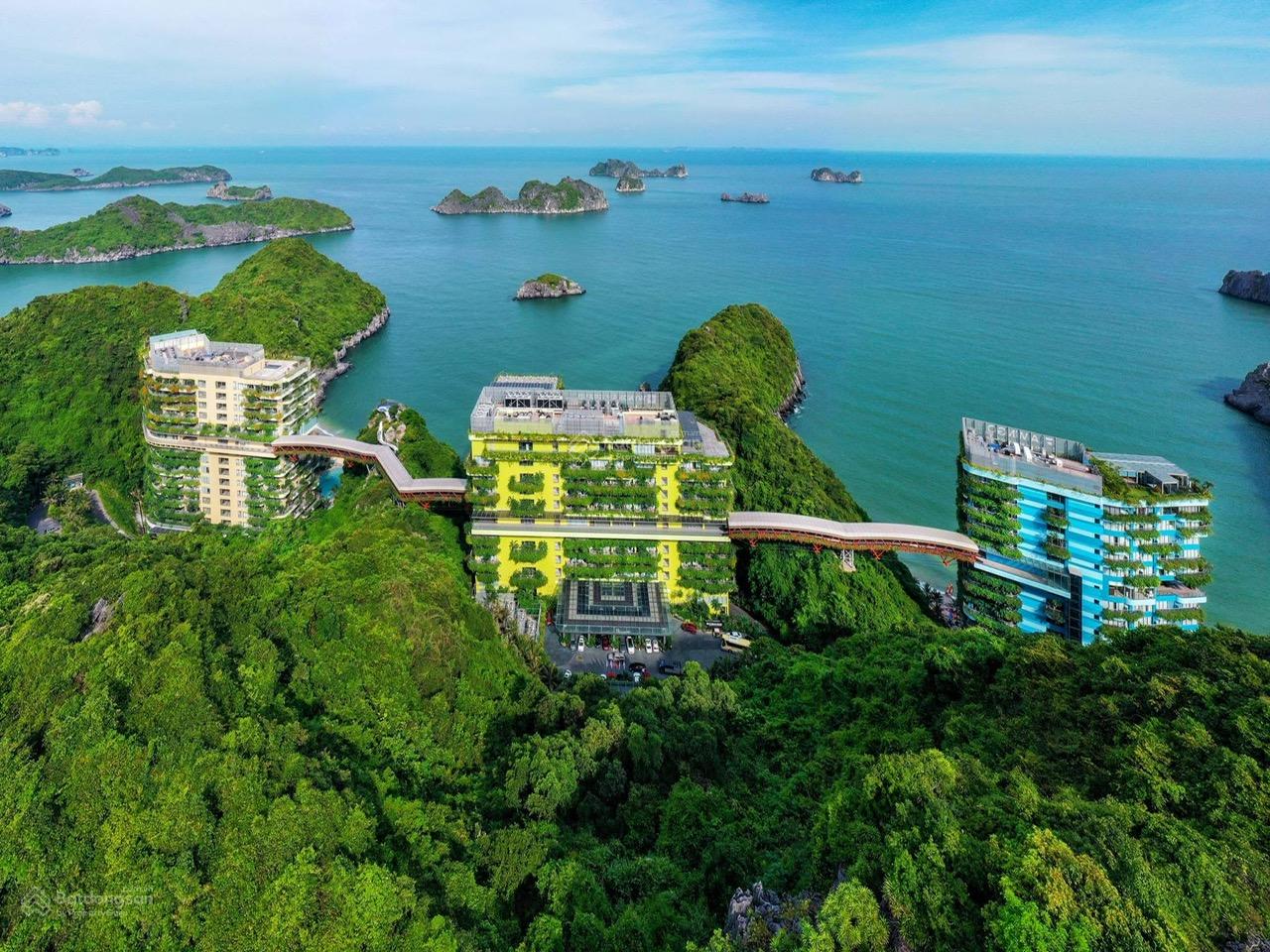 Căn hộ condotel Flamingo Cát Bà 31m² giá 1.63 tỷ - Cơ hội đầu tư hấp dẫn!