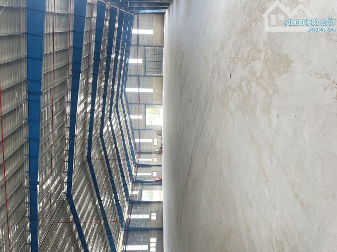 Xưởng cho thuê 20.000m² Khu kinh tế Nhơn Hội - Cơ hội đầu tư hấp dẫn!