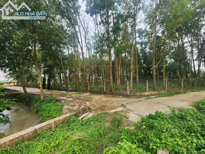 Đất 2 mặt tiền 1579m² giá 2.4 tỷ tại Củ Chi - Cơ hội đầu tư hấp dẫn!