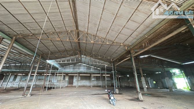 Xưởng sản xuất 2500m² tại Tân Hòa, Đồng Nai - Cơ hội đầu tư tốt!