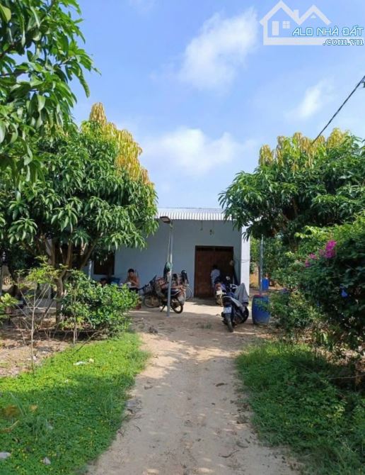 Đất vườn 2500m² gần UBND Tân Hiệp - Phú Giáo chỉ 650 triệu - Cơ hội đầu tư tuyệt vời!