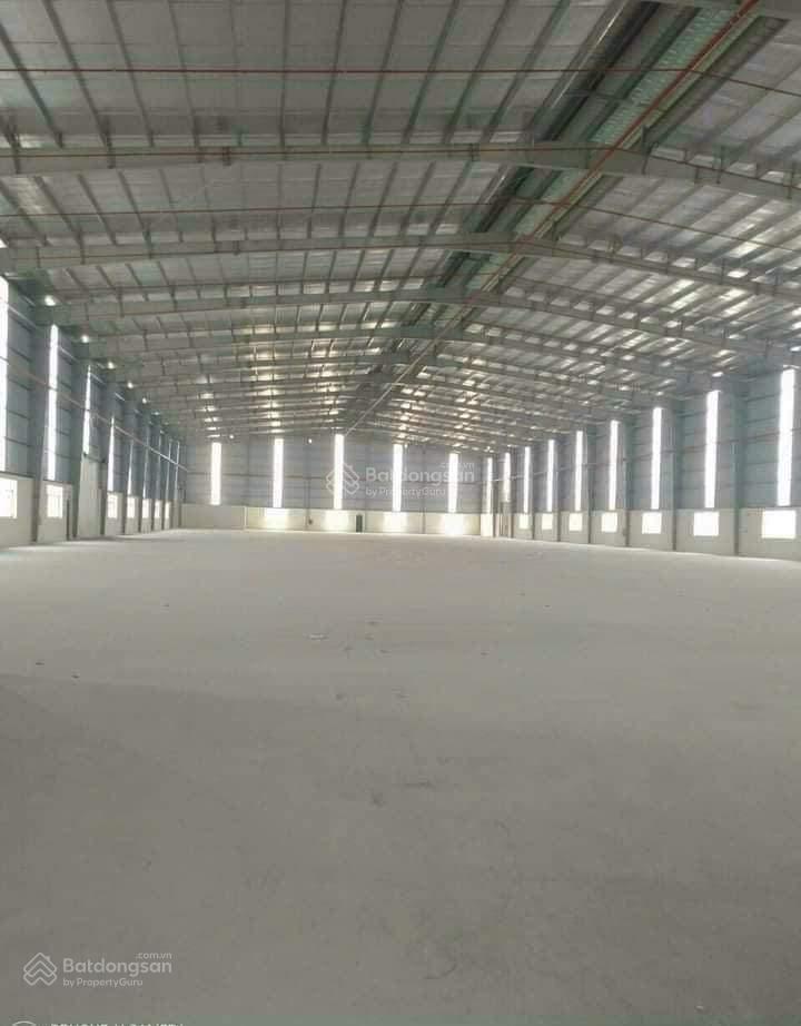 Nhà xưởng cho thuê 5000m² KCN Mỹ Phước 3 - Giá tốt, hỗ trợ thủ tục
