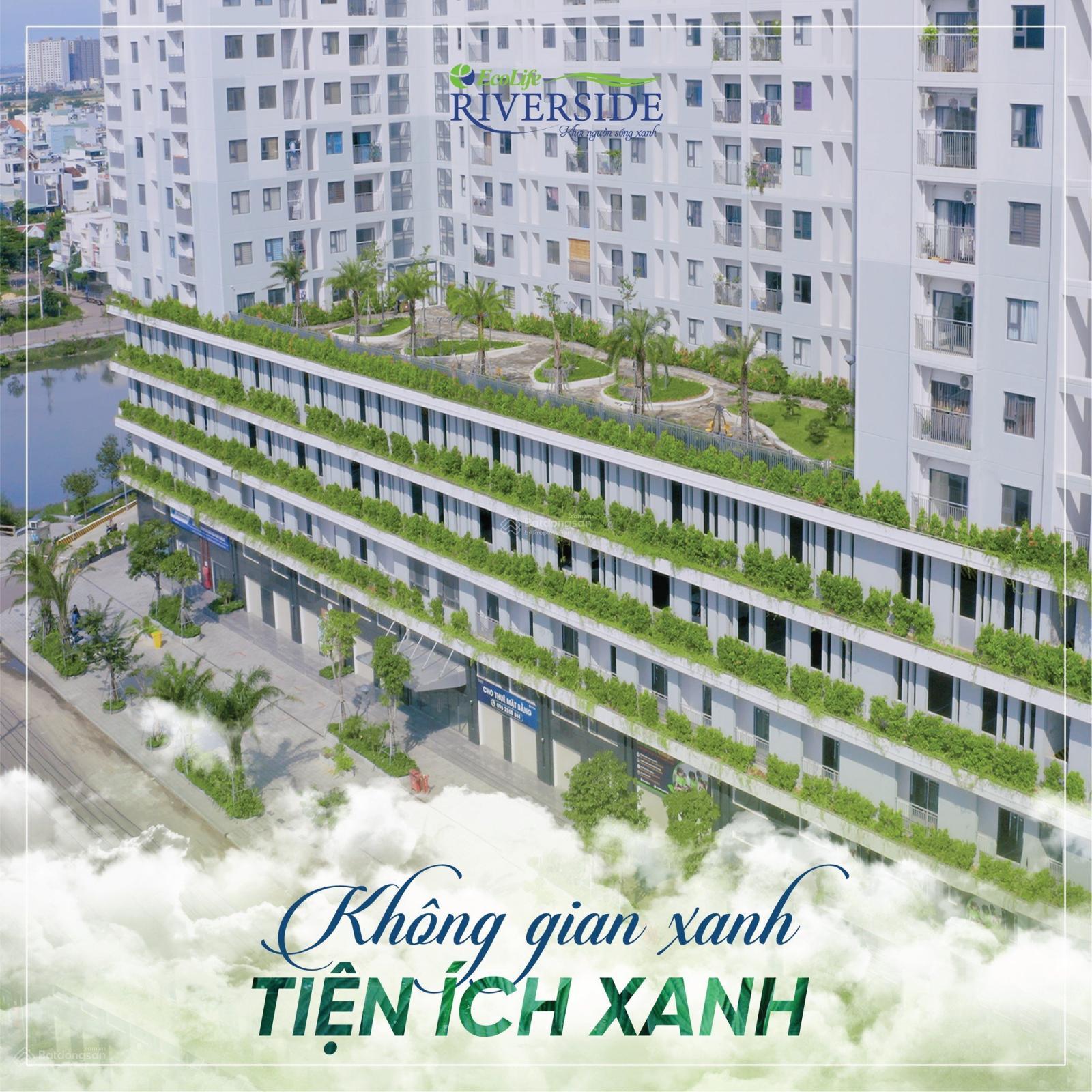 Căn hộ Ecolife 68m² giá 1.1 tỷ - Cơ hội hiếm có tại Quy Nhơn!