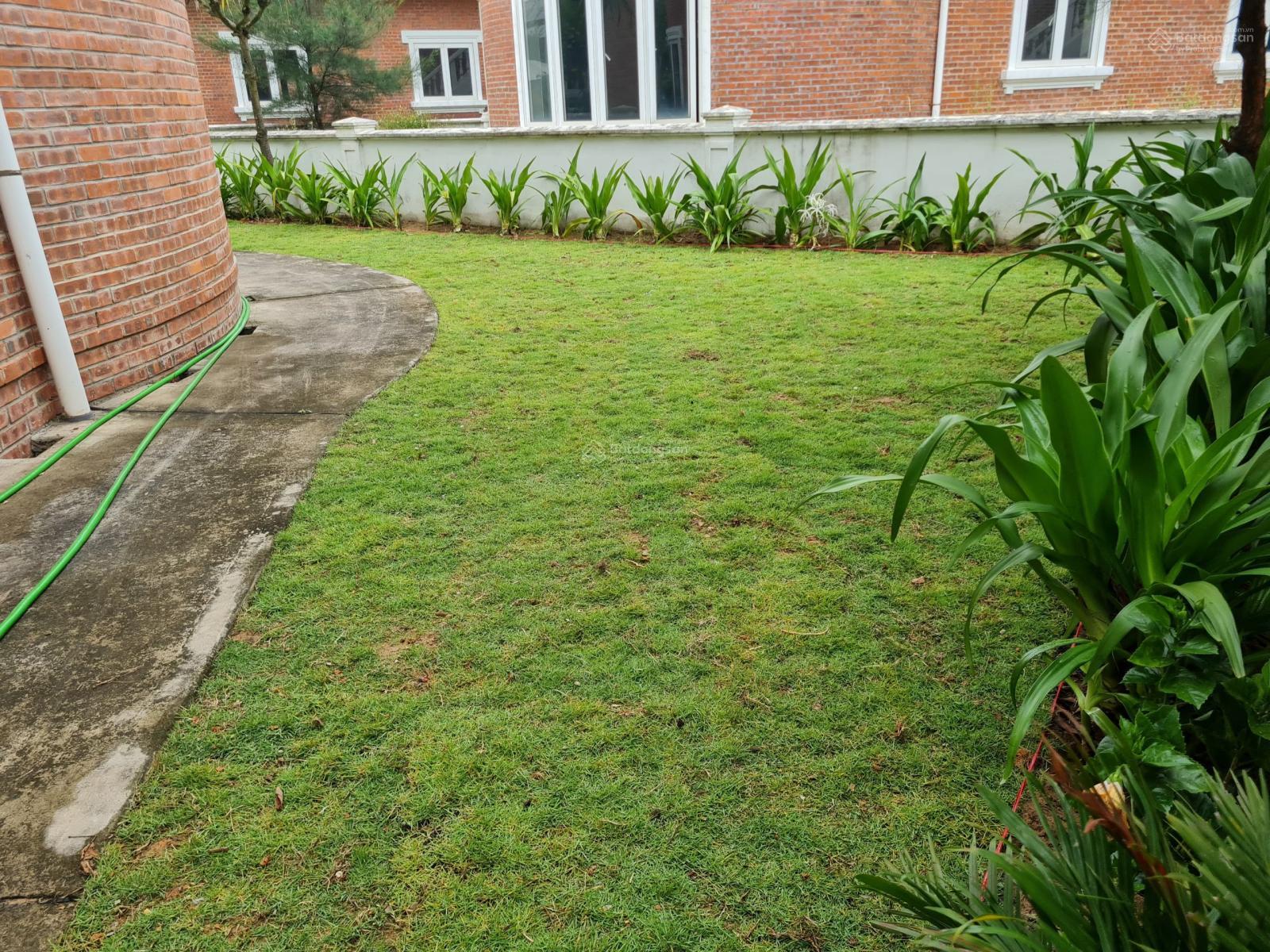 Bán Villa Biển Hoa Tiên 464m² giá 9.5 tỷ - Cơ hội vàng cho bạn!