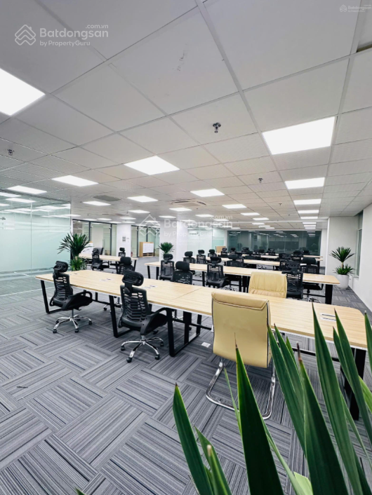 Cho thuê văn phòng 1000m² tại Trung Yên Plaza - Cơ hội hiếm có!