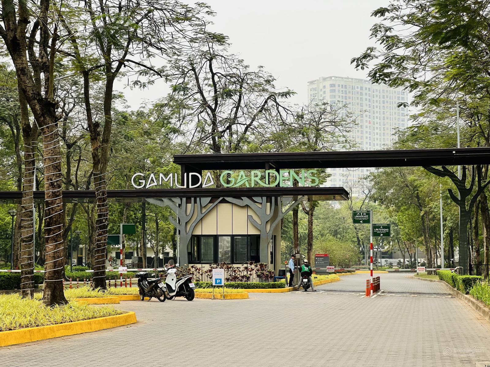 Cho thuê liền kề góc 250m² Gamuda Gardens - Vào ở ngay, giá tốt!