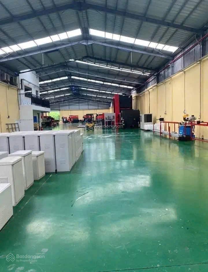 Cho thuê xưởng 1000m² An Phú Đông - Cơ hội hiếm có!