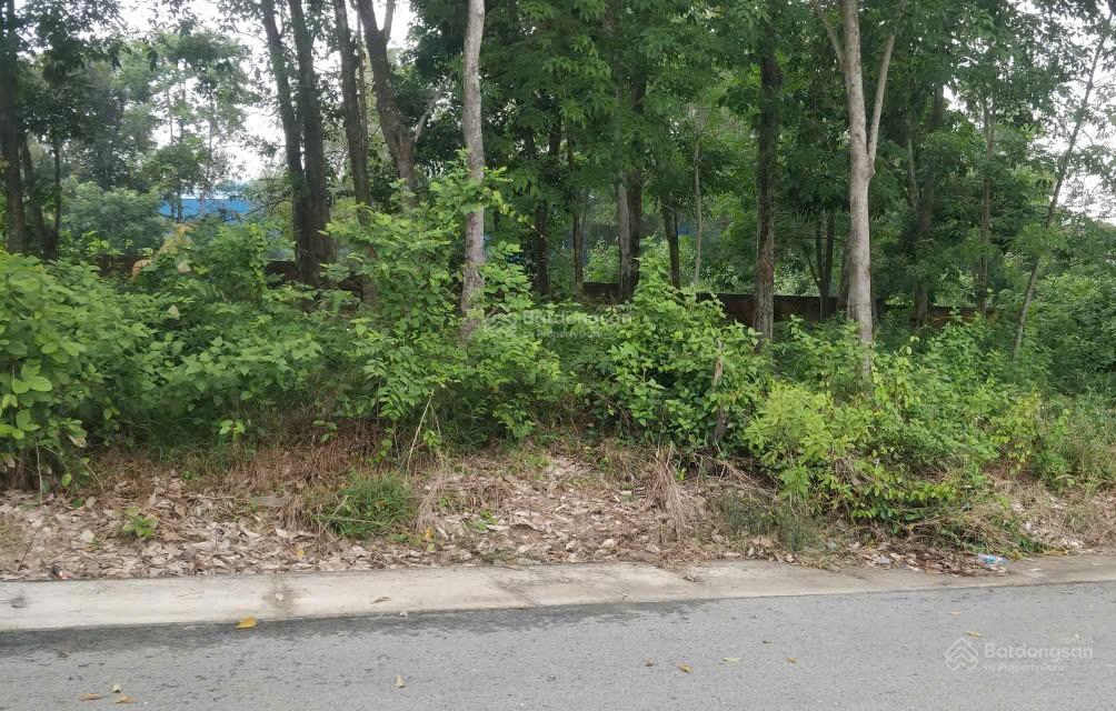 Bán đất nền Hưng Phát 92m² giá 1.4 tỷ - Cơ hội lộc tài